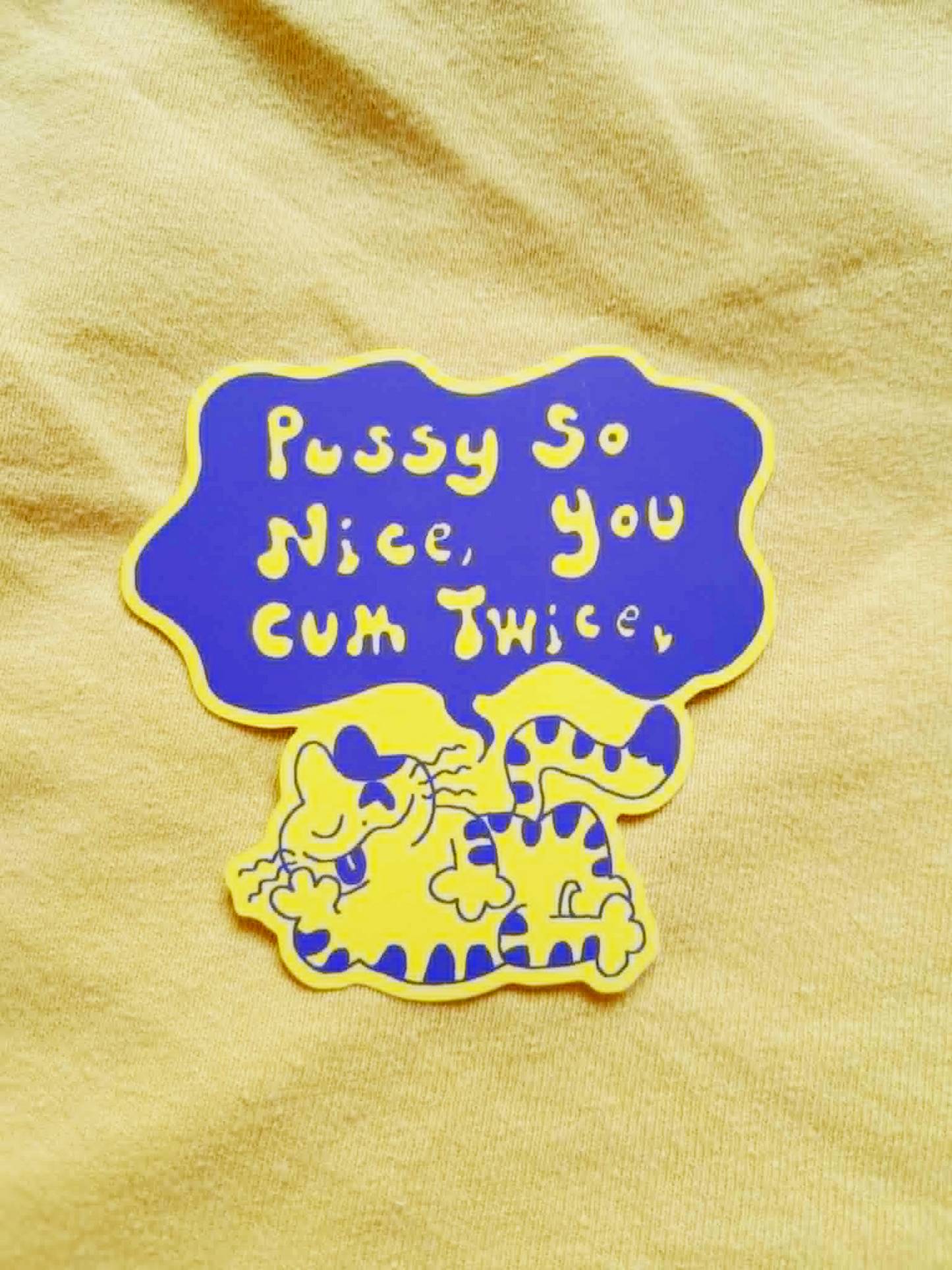 NSFW vinyl matte sticker pussy so nice